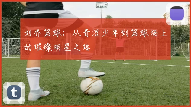 刘乔篮球：从青涩少年到篮球场上的璀璨明星之路