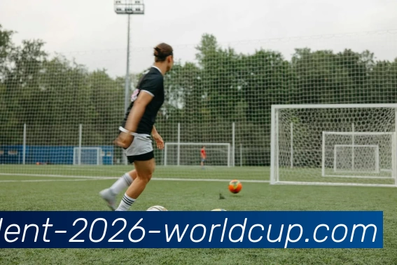 买球平台发展历程